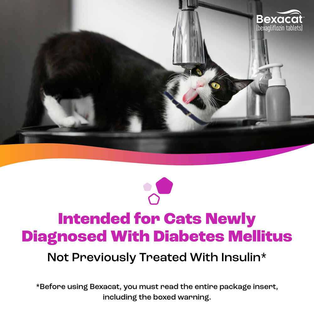 15 mg Bexacat for Cats Q779