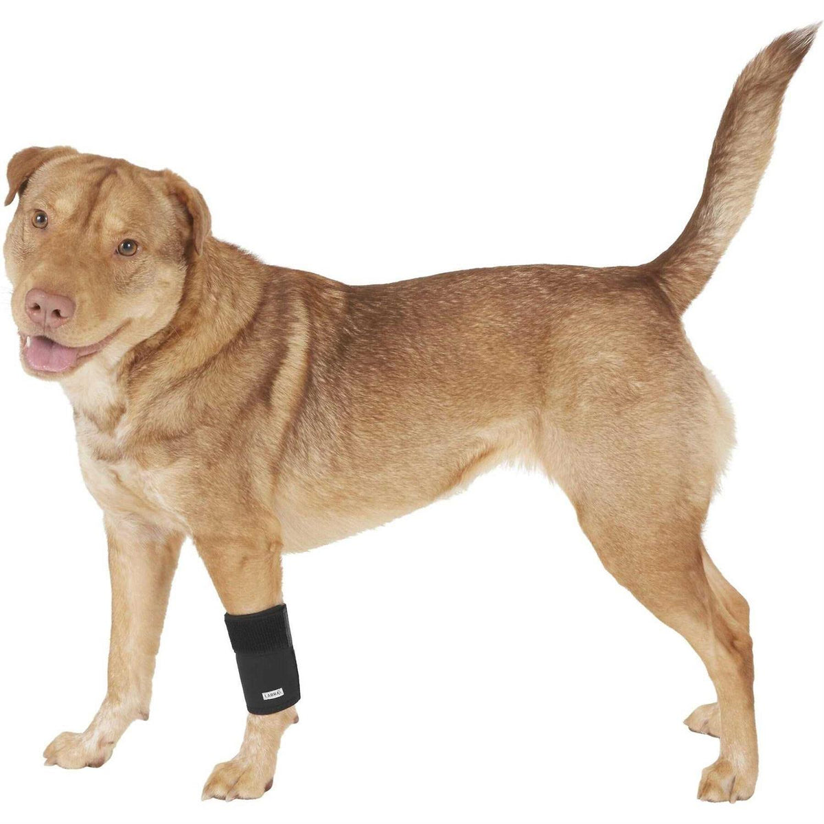 Dog Front Leg Compression Brace Sleeve Q682523