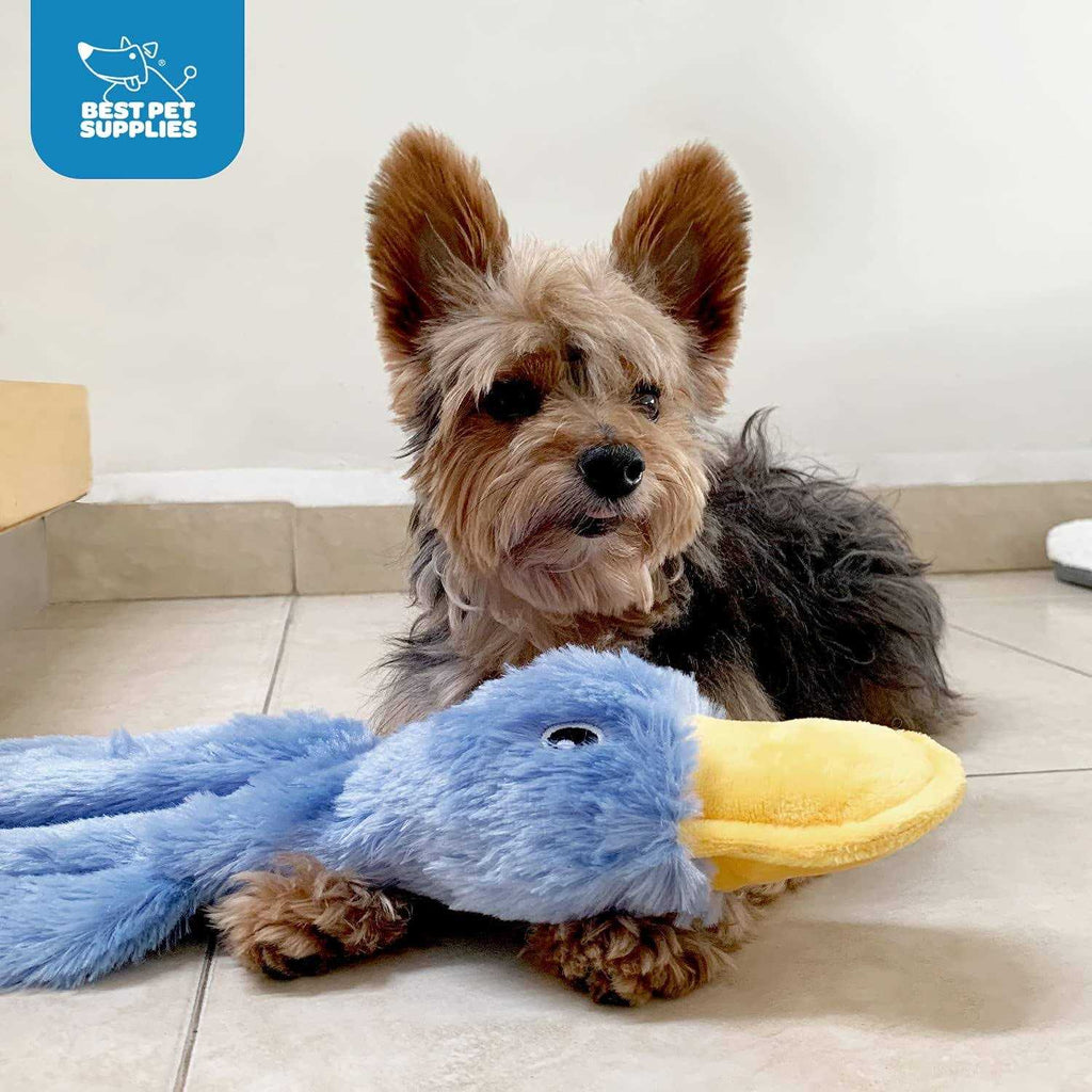 Crinkle Dog Toy No Stuffing Duck with Soft Squeaker X16796
