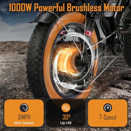 1000W 20" Fat Tire 48V 17.5AH Removable Battery Electric Bike D412524