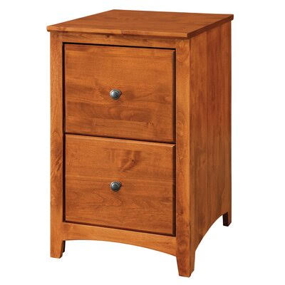 2-Drawer Vertical Filing Cabinet Z9670