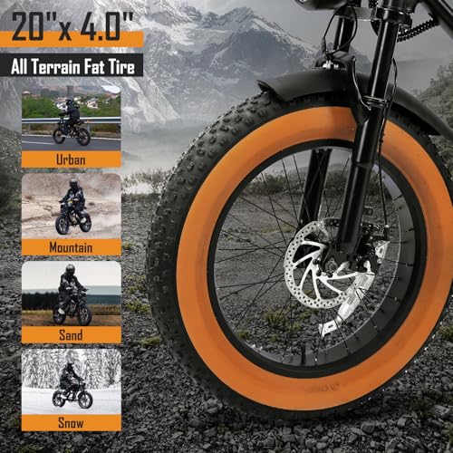 1000W 20" Fat Tire 48V 17.5AH Removable Battery Electric Bike D412524