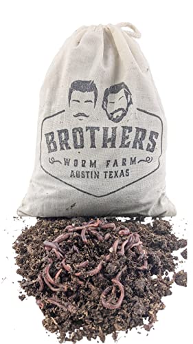 1/2 LB Red Wiggler Compost Worm Blend C627