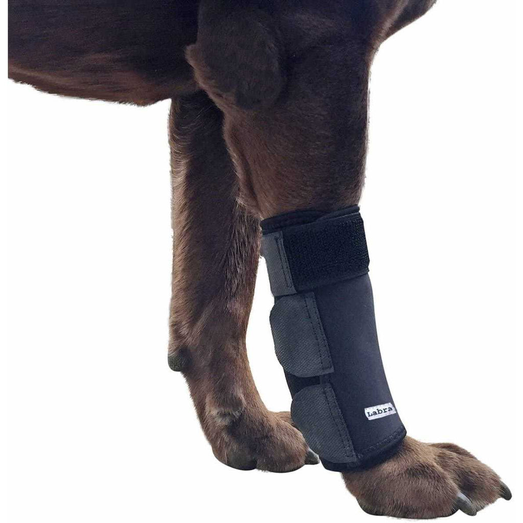 Dog Front Leg Compression Brace Sleeve Q682523
