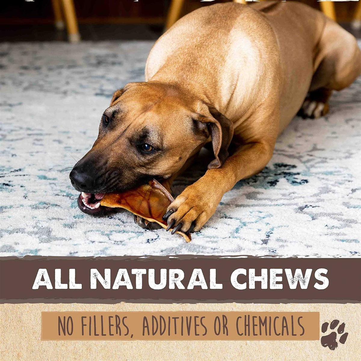 All Natural Dried Single Ingredient Dog Treats Z7546