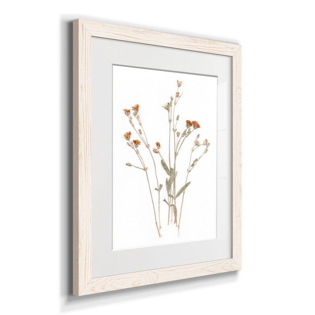 Walnut Framed Print 23X32 B753