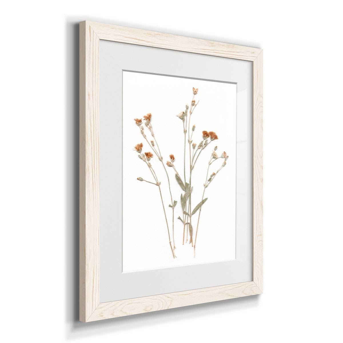 Walnut Framed Print 23X32 B753