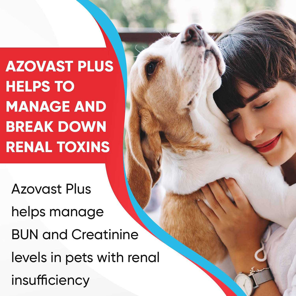 Kidney Health Supplement for Dogs & Cats Oral Paste W45070