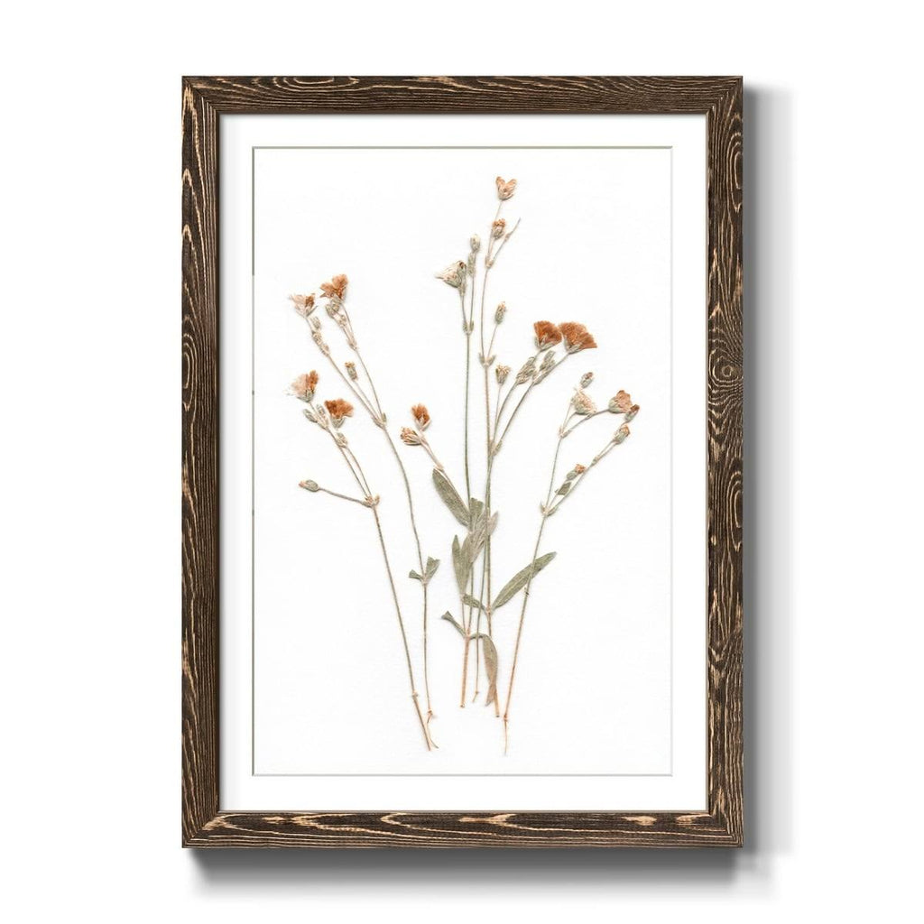 Walnut Framed Print 23X32 B753