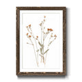 Walnut Framed Print 23X32 B753