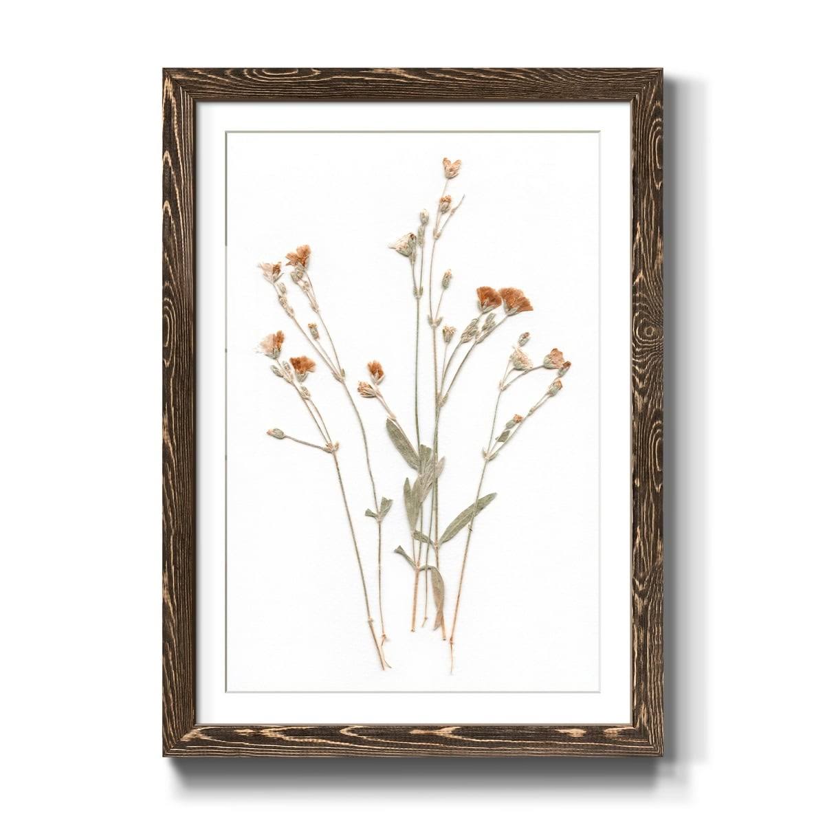 Walnut Framed Print 23X32 B753