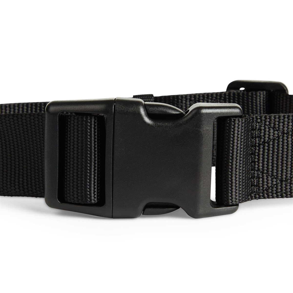 Adjustable Dog Collar Q667212