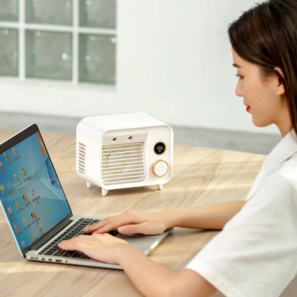 Mini Air Cooler with Adjustable Desktop Fan and USB Port S499523