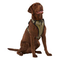 Neoprene Padded Dog Harness O64522