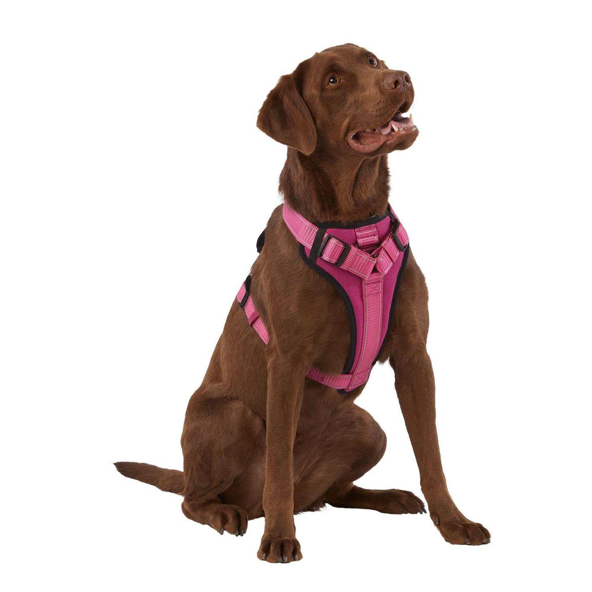 Neoprene Padded Dog Harness T9216