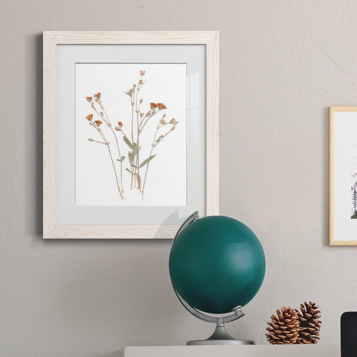 Walnut Framed Print 23X32 B753
