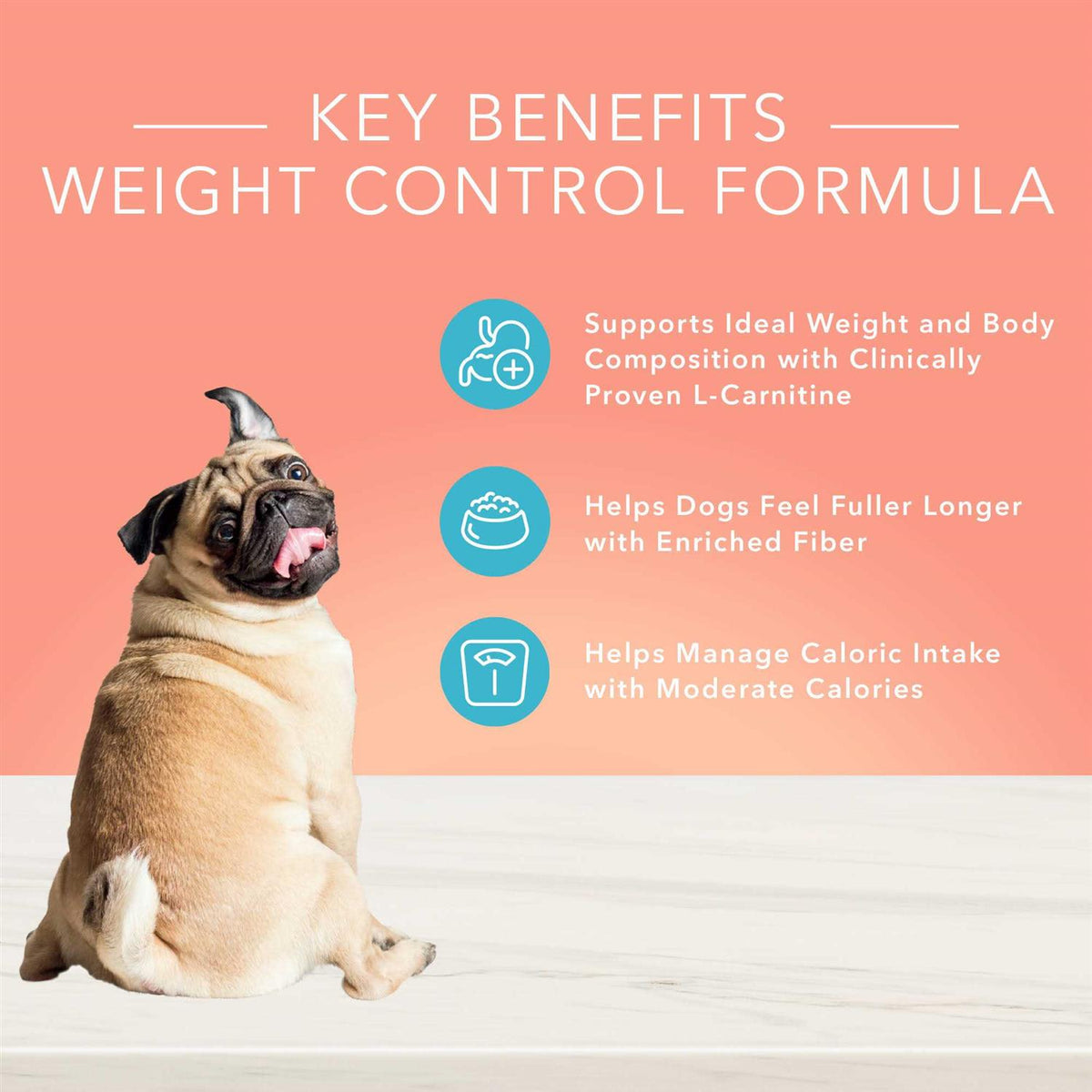 Weight Control Dog Food G862