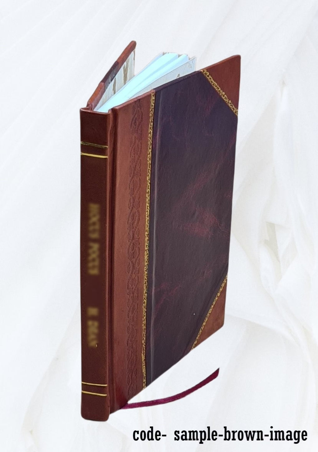 Leather Bound Book Z572