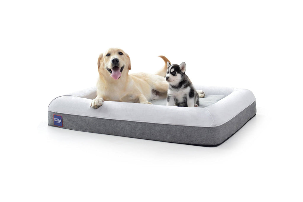 Orthopedic Memory Foam Large Dog Bed with Water Proof Liner X667452