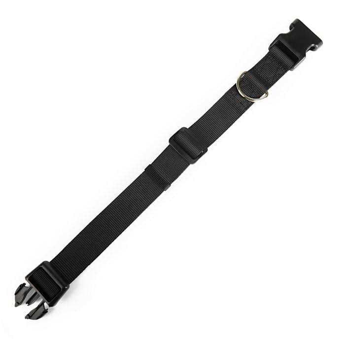 Adjustable Dog Collar Q667212