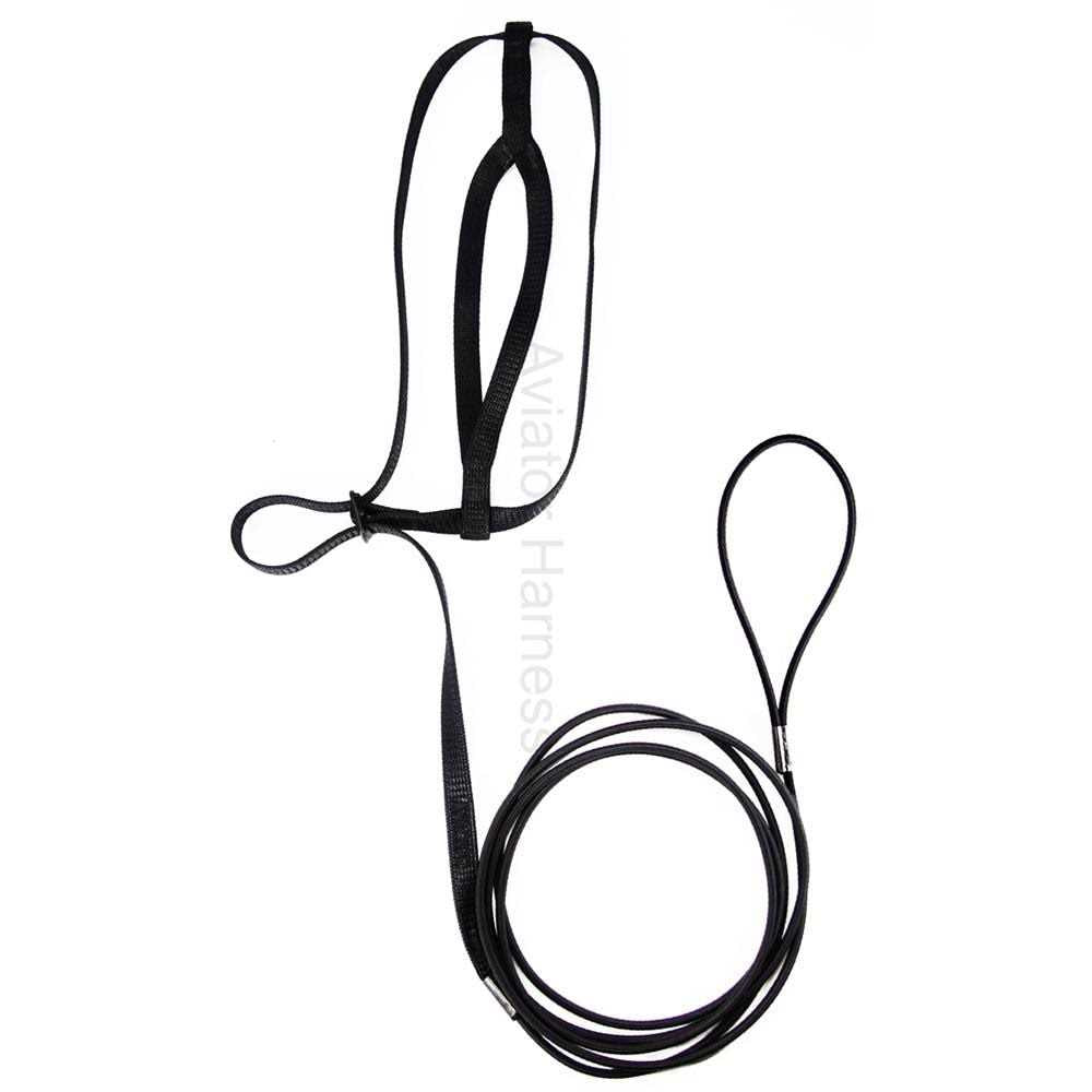 Bird Harness and Leash U687588
