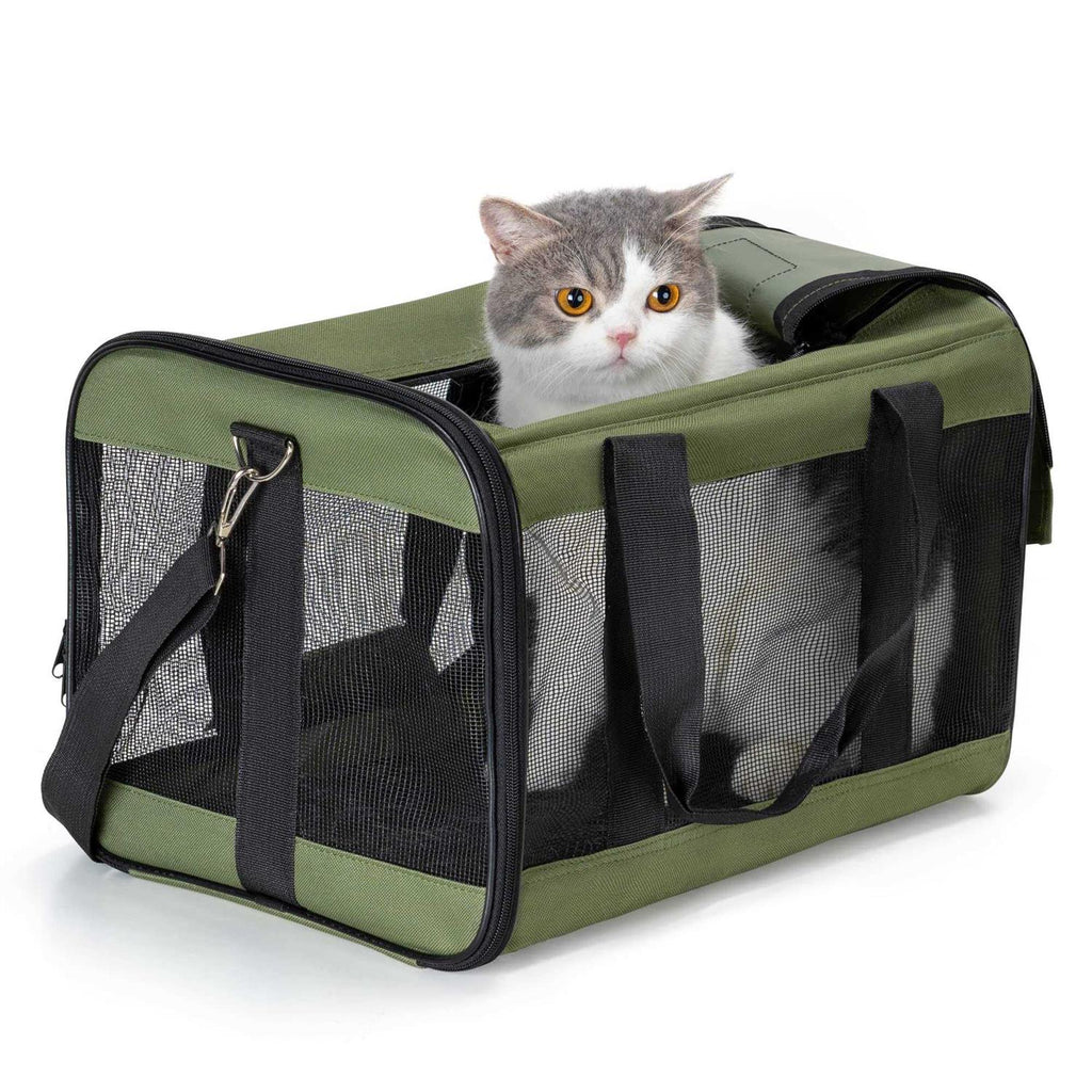 Soft-Sided Cat Dog Carrier with Inner Safety Leash P91573