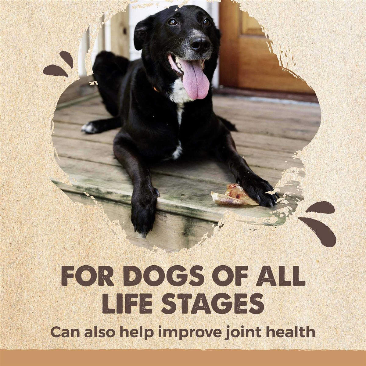 All Natural Dried Single Ingredient Dog Treats Z7546