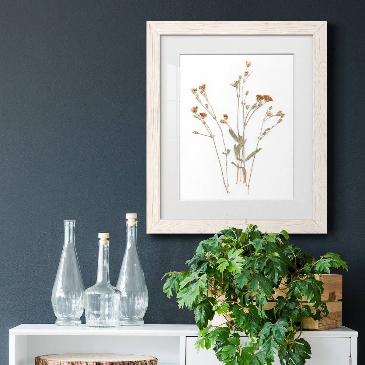 Walnut Framed Print 23X32 B753