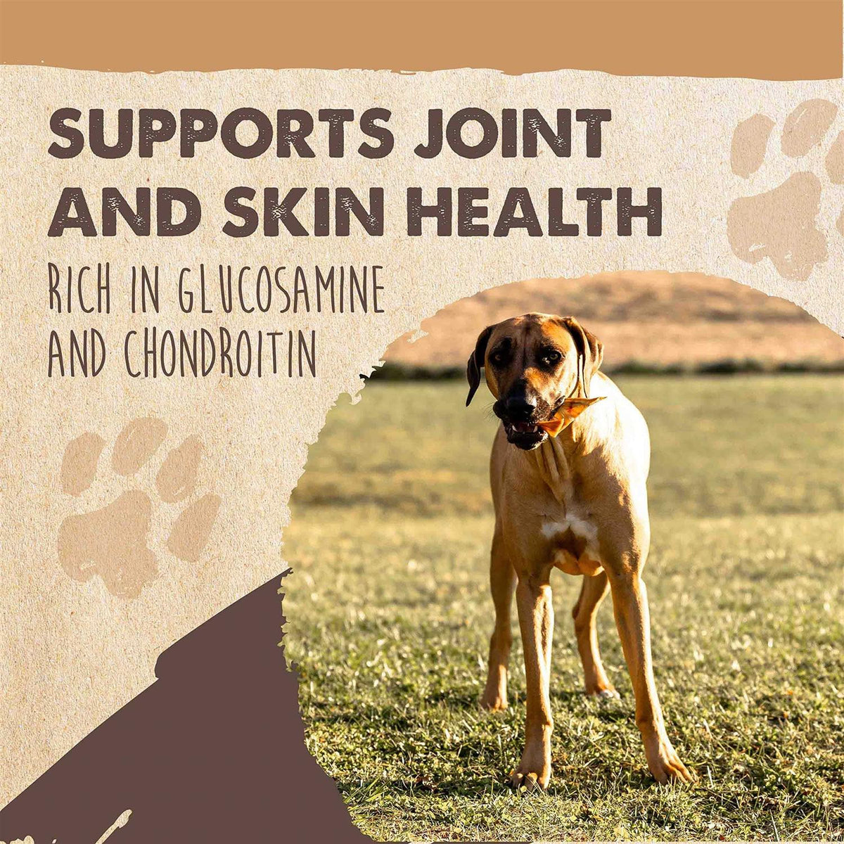 All Natural Dried Single Ingredient Dog Treats Z7546