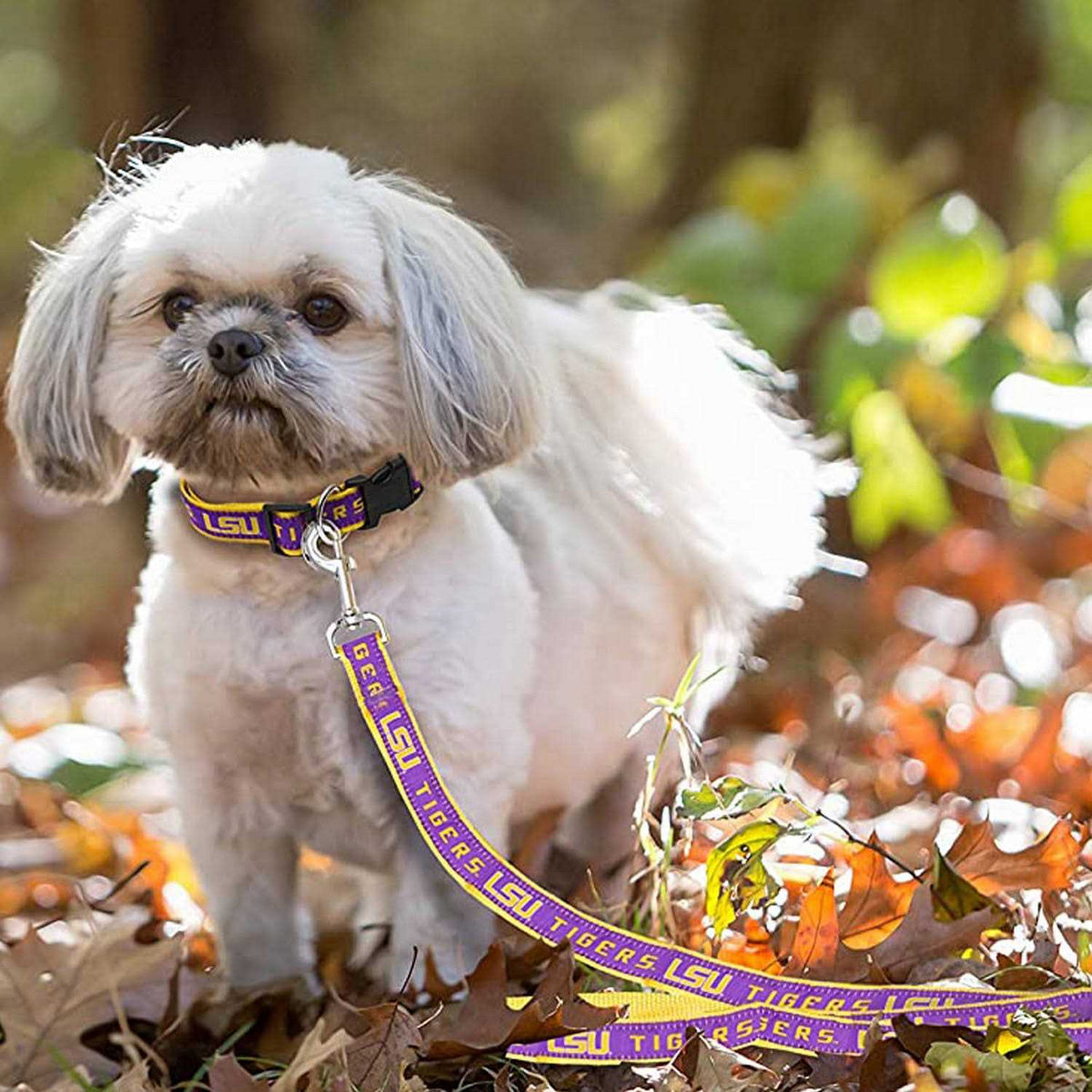 Pet Leash E6918