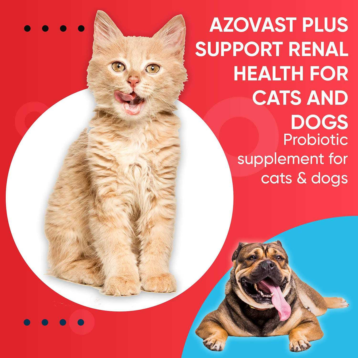 Kidney Health Supplement for Dogs & Cats Oral Paste W45070