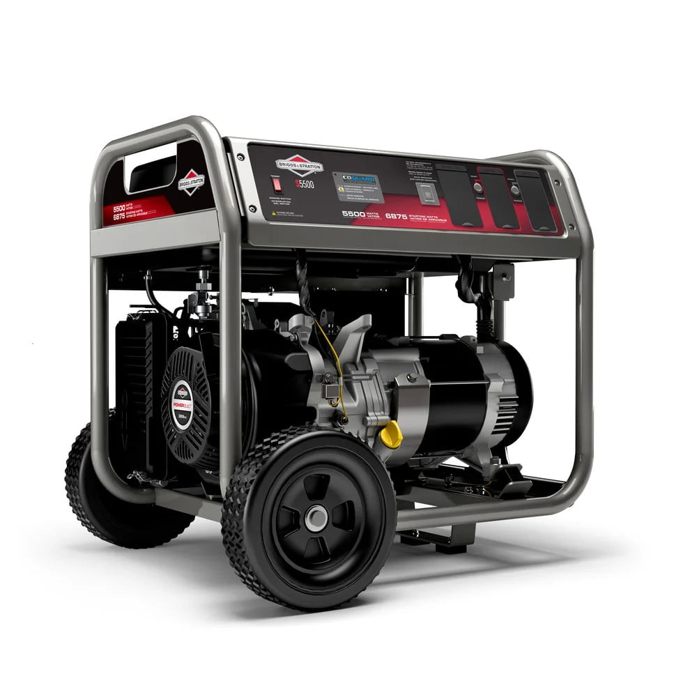 5500 Watt Portable Generator D74436