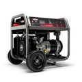 5500 Watt Portable Generator D74436