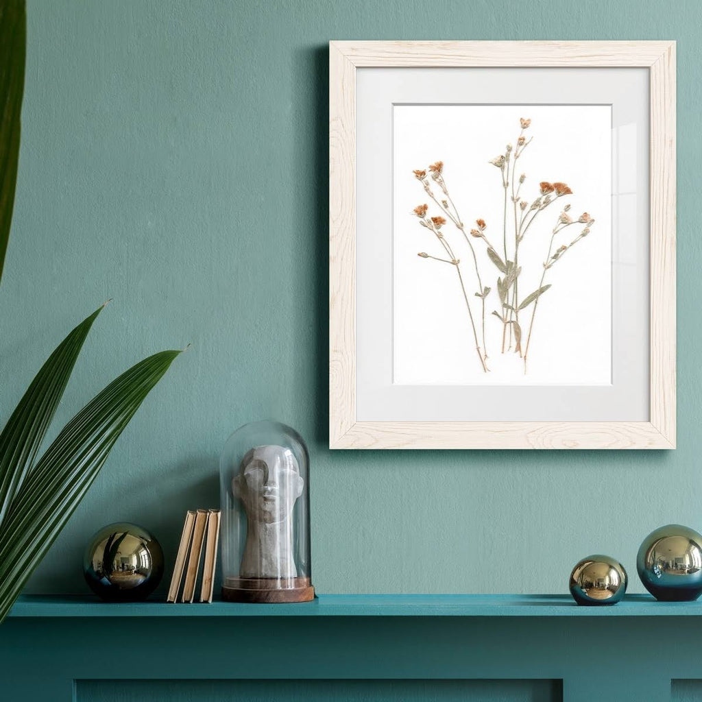 Walnut Framed Print 23X32 B753