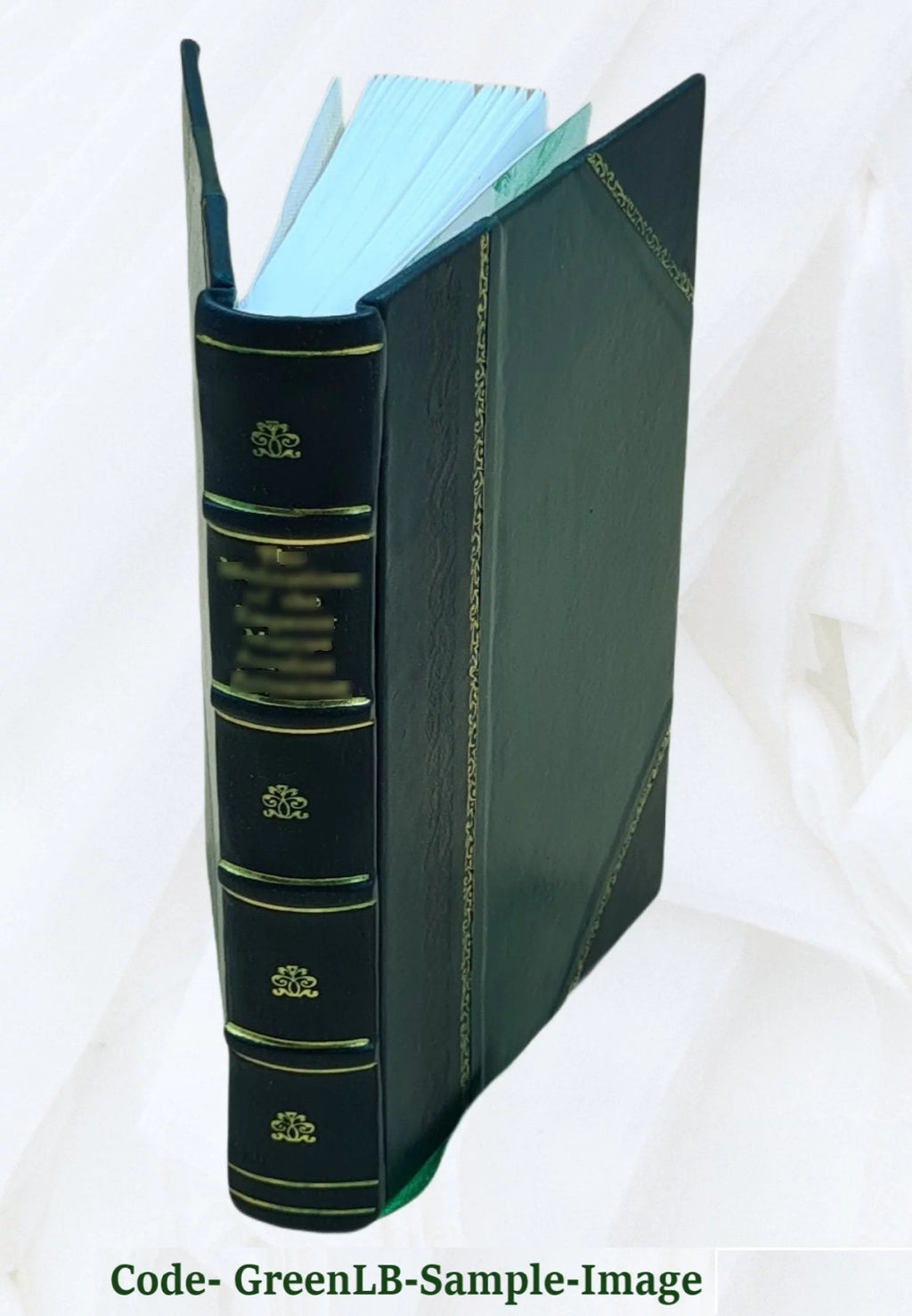 Leather Bound Roman M6062