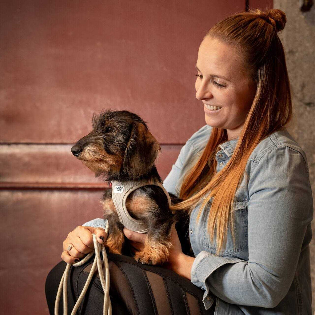 Vest Harness Air-Mesh O616487