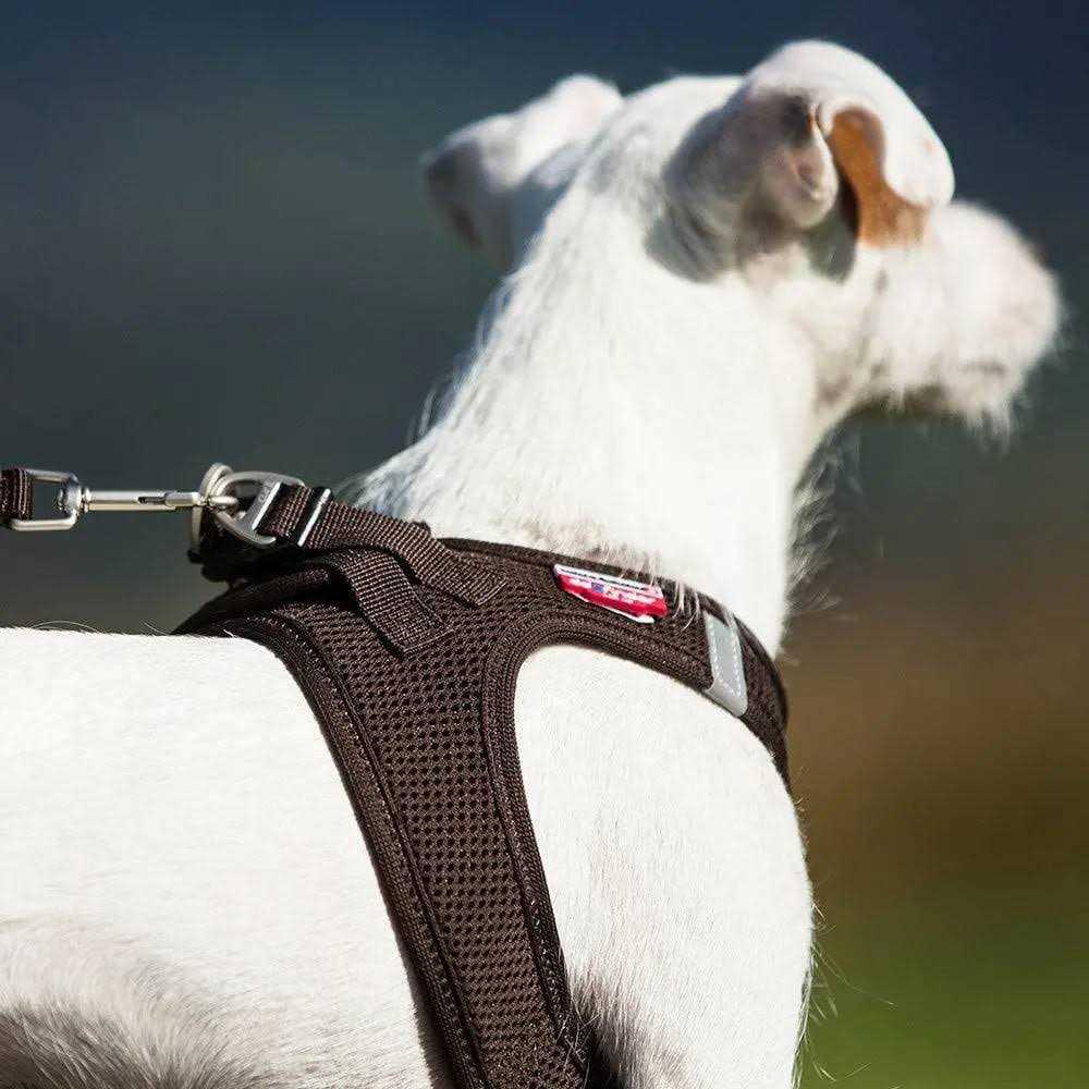 Vest Harness Air-Mesh O616487